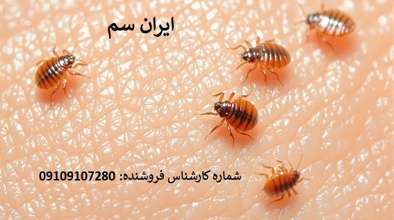 سموم آلمانی شرکت ایران سم