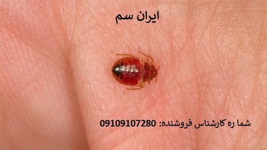 نابودی ساس با سموم آلمانی